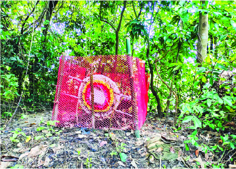 Image of মো: জাকির হোসেন (শাকিব)